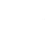 Noctis White Logo